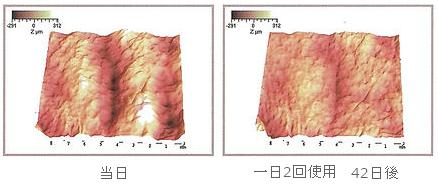 06-teosyal_02.JPG